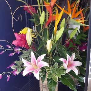 Meet your Posher, Terri